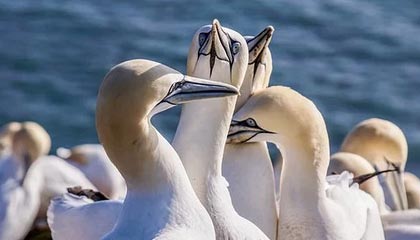 开云官网-马赛轻取多特蒙德，姆巴佩三分雨点燃全场